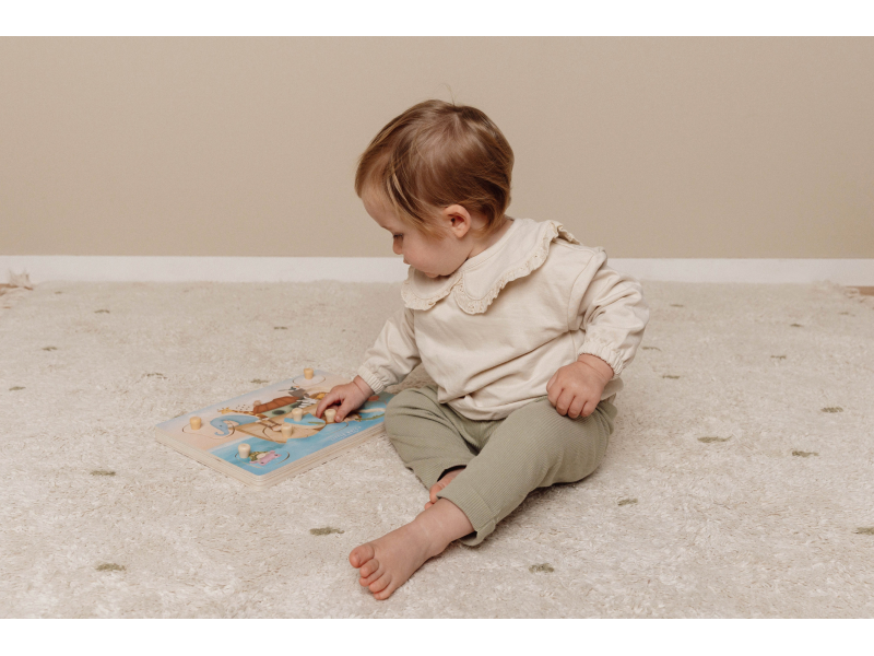 Vkládací puzzle se zvukem Noemova archa