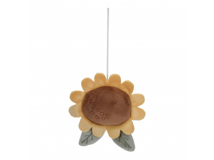 Hudební kolotoč Farma