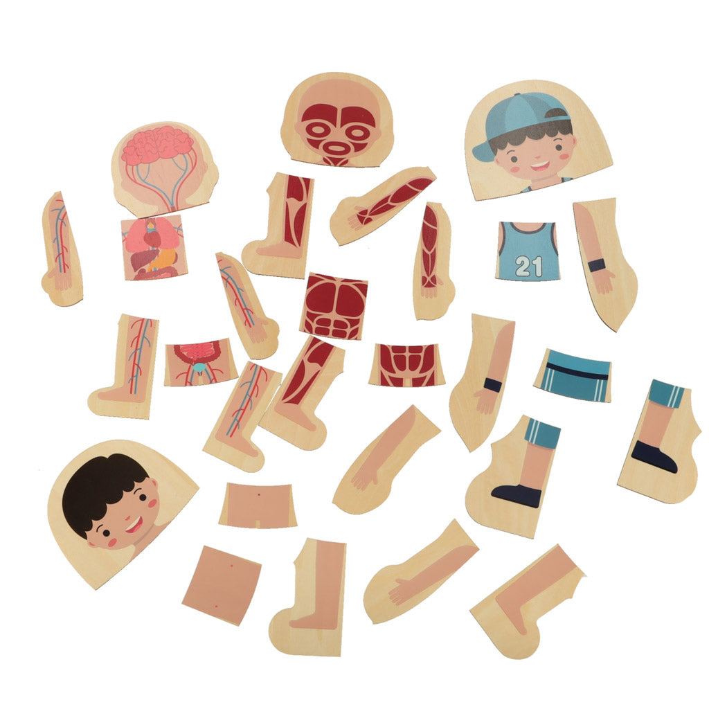 Dřevěné vrstvené puzzle – stavba lidského těla (chlapec)
