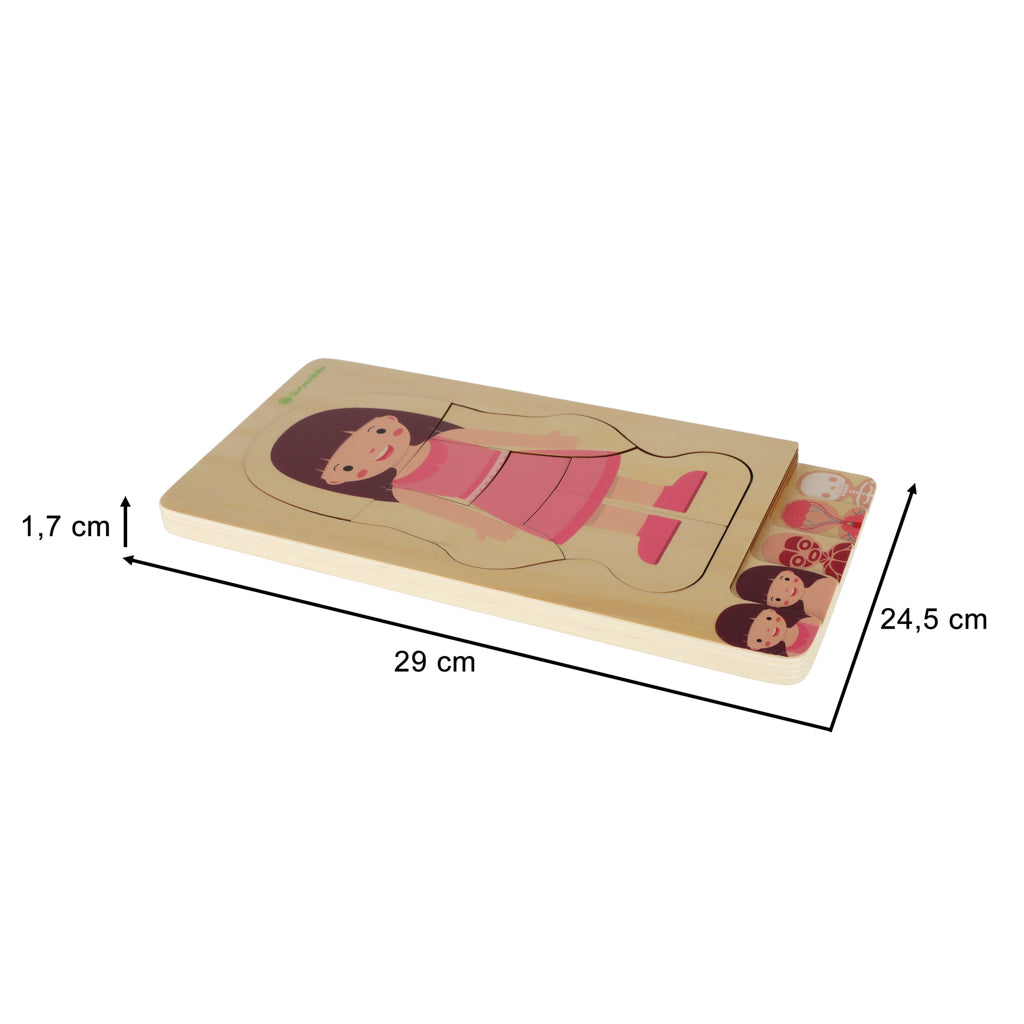 Dřevěné vrstvené puzzle – stavba lidského těla (dívka)